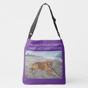  クロスボディバッグ