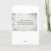 クロス卒業聖なる書物、 経典カード カード (裏面)