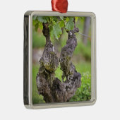 クロス·ド·エコー·ヴィネヤードの非常に古いつる植物 メタルオーナメント (右)