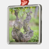 クロス·ド·エコー·ヴィネヤードの非常に古いつる植物 メタルオーナメント (左)