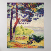 クロス – Afternoon In Pardigon ポスター (正面)