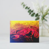 クロダディ ポストカード (スタンド正面)