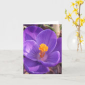クロッカスのメッセージカード カード (黄色い花)