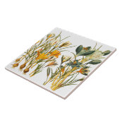 クロッカスの花の花の植物のタイル タイル (側面)