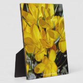 クロッカスの黄色い花 フォトプラーク (側面)