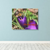 クロッカスを受粉する意図的に生きる/蜂蜜のミツバチ キャンバスプリント (インサイチュ (ウッドフロア))