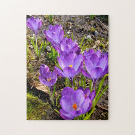 クロッカスフォーカス！ ジグソーパズル