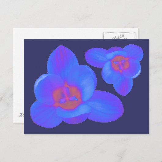 クロッカスフラワーホットアンドコールドポストカード ポストカード (正面/裏面)