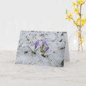 クロッカスブランクカード カード (黄色い花)