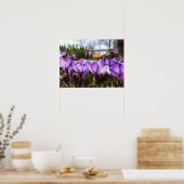 クロッカスポスター ポスター (キッチン)