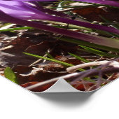 クロッカスポスター ポスター (角)