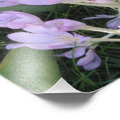 クロッカス写真 フォトプリント            (角)