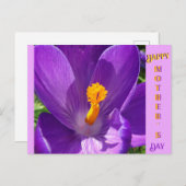 クロッカス母の日はがき ポストカード (正面/裏面)