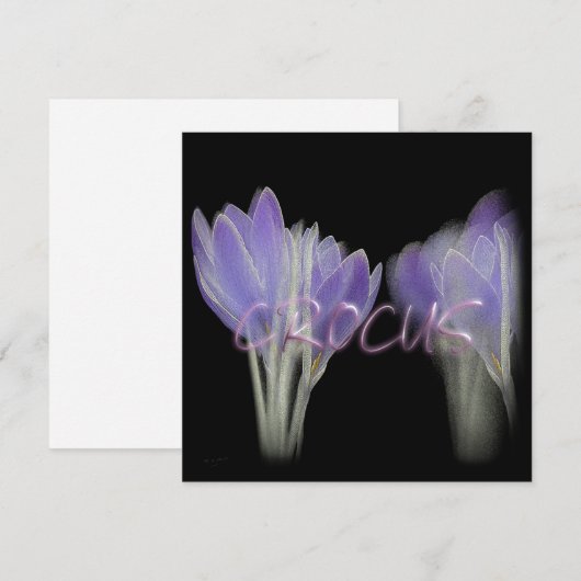 クロッカス花 シーズンカード (正面/裏面)