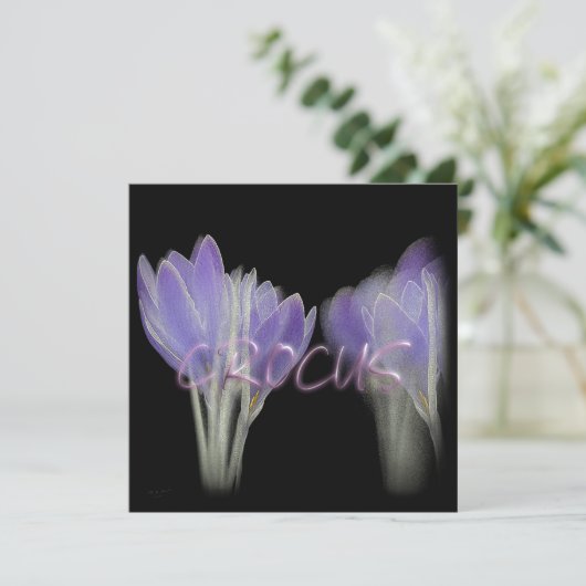 クロッカス花 シーズンカード (スタンド正面)