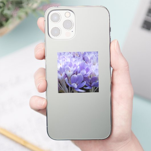 クロッカス シール (スマートフォン)