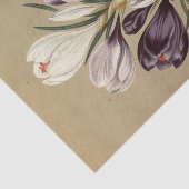 クロッカス・ベルヌス。バール.byアレントHendriica Arendsen 薄葉紙 (詳細)