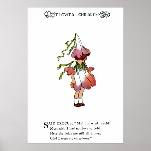 クロッカス ポスター (正面)