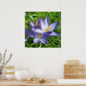 クロッカス ポスター (キッチン)