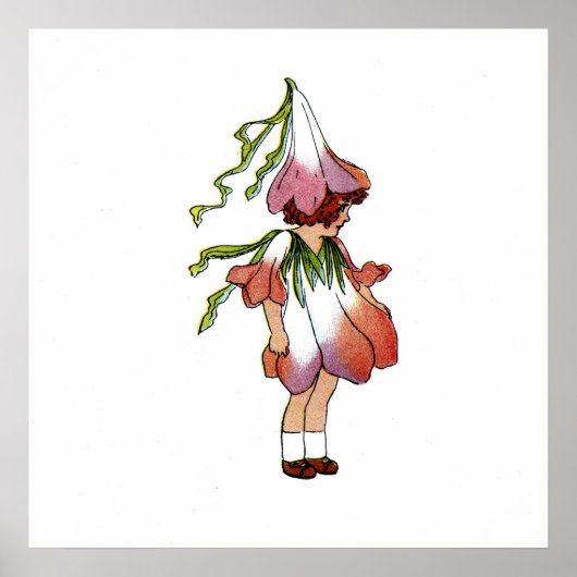 クロッカス ポスター (正面)