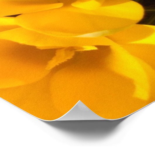 クロッカス ポスター (角)