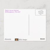 クロッカス!-ポストカード ポストカード (裏面)