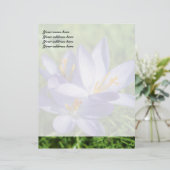 クロッカス レターヘッド (スタンド正面)