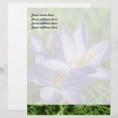 クロッカス レターヘッド (正面/裏面)