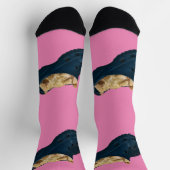 クロックシューズの寝台子猫、クルーソックス ソックス (上部)