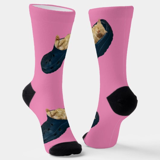 クロックシューズの寝台子猫、クルーソックス ソックス (傾斜あり)