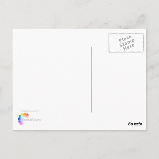 クロックスの花 ポストカード (裏面)