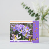 クロックスウィズビーハッピー春はがき ポストカード (スタンド正面)