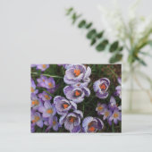 クロックス・パープル・アンド・ホワイト・フラワーの写真 ポストカード (スタンド正面)