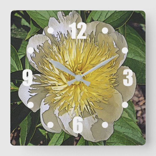 クロック/黄色の中心と白い牡丹。 スクエア壁時計 (正面)
