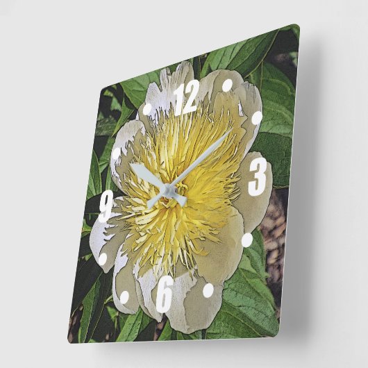 クロック/黄色の中心と白い牡丹。 スクエア壁時計 (傾斜)