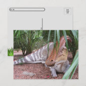 クロッシングParaaurolophus – 恐竜 – 葉書 ポストカード (正面/裏面)