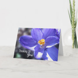 クロッ考えカス・パープル カード