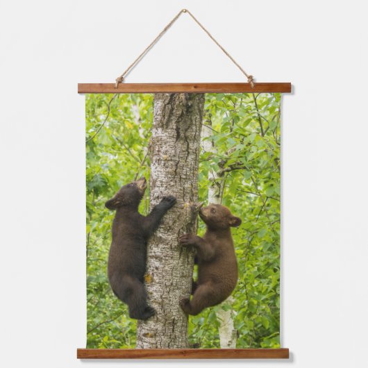 クロツマクマの子熊が木に登る 吊り下げ型タペストリー (正面)