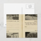 クロトンオッシンドブスフェリー ポストカード (正面/裏面)