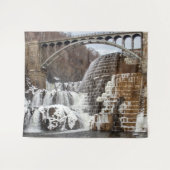 クロトンダム タペストリー (正面(横))