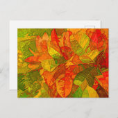 クロトンバリエガトゥム植物 ポストカード (正面/裏面)