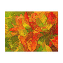 クロトンバリエガトゥム植物