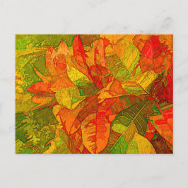 クロトンバリエガトゥム植物 ポストカード