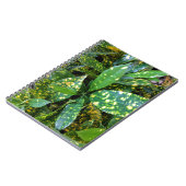 クロトン工場 ノートブック (左側)