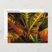 クロトン葉抽象芸術 ポストカード (正面/裏面)