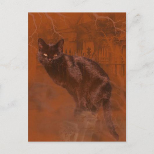 クロネコカミ ポストカード (正面)