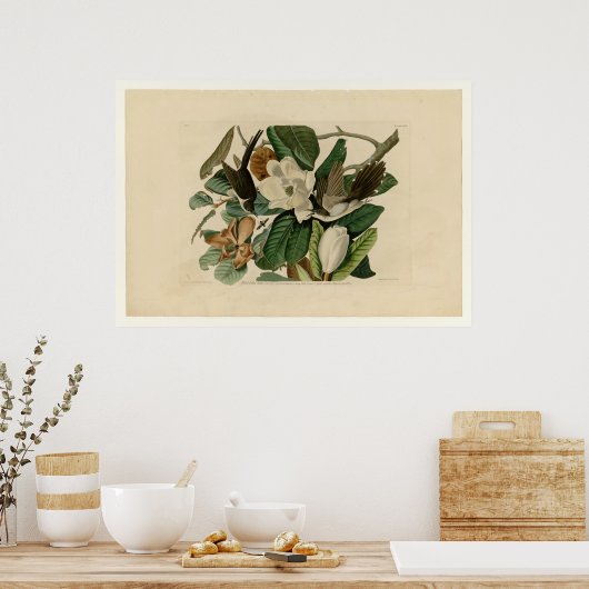 クロハシのカッコウ ポスター (キッチン)