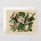 クロハシのカッコウ ポストカード (正面/裏面)