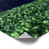 クロパスタ ポスター (角)