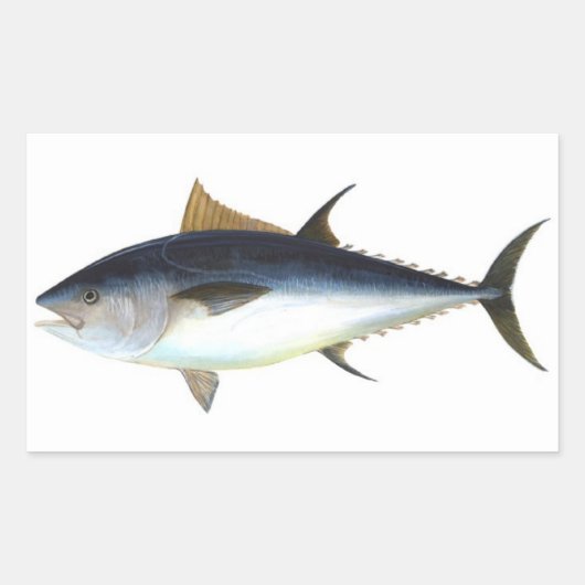 クロマグロイラストレーション 長方形シール (正面)